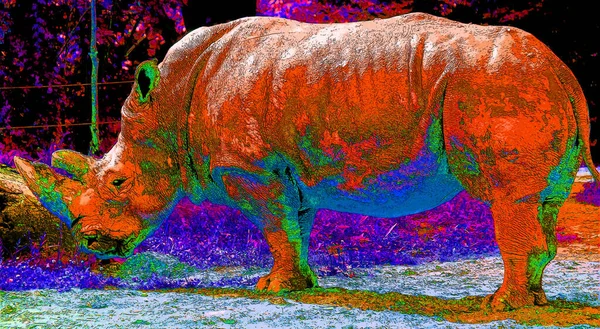 Rhinoceros Sign Illustration Pop Art Background Icon Color Spots — Stock Photo, Image