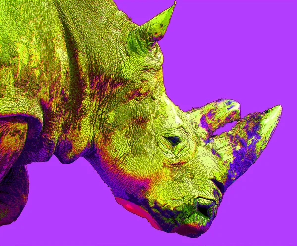 Rhinoceros Sign Illustrate Pop Art Background Icon Color Spots — стокове фото