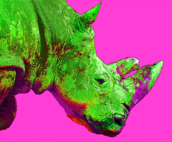 Rhinocéros Signe Illustration Pop Art Icône Fond Avec Des Taches — Photo