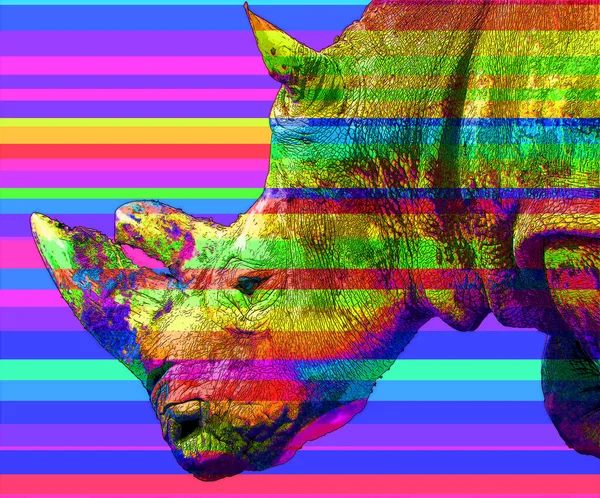 Rhinoceros Sign Illustration Pop Art Background Icon Color Spot — 스톡 사진