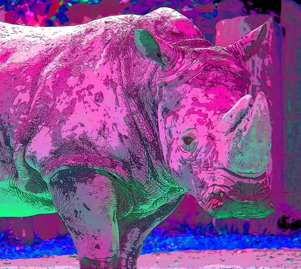 Rhinocéros Signe Illustration Pop Art Icône Fond Avec Des Taches — Photo