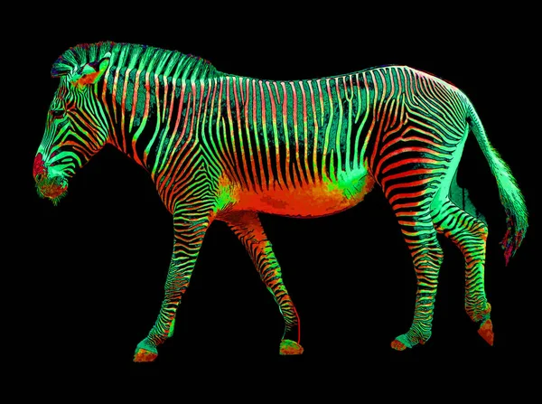 Zebras Sinal Ilustração Pop Art Ícone Fundo Com Manchas Cor — Fotografia de Stock