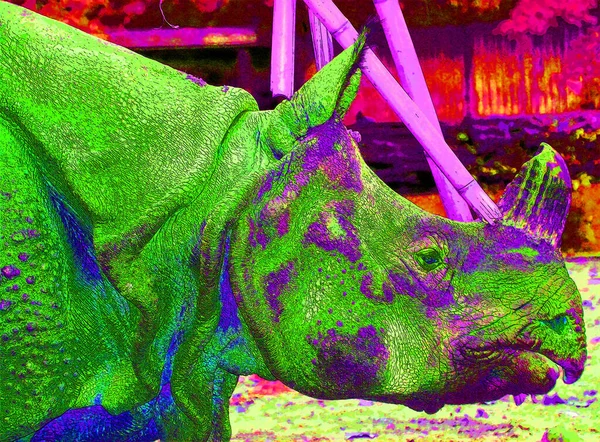 Indian Rhinoceros Rhinoceros Unicornis Also Called Greater One Horned Rhinoceros — Foto de Stock