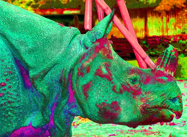 Indický Nosorožec Nosorožec Rhinoceros Unicornis Také Nazývá Větší Jednorohý Nosorožec — Stock fotografie