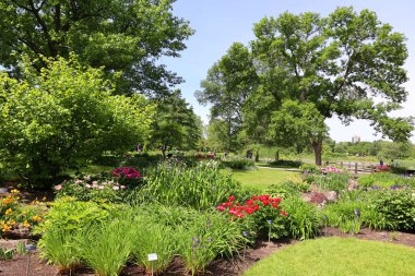 Yaz bahçesi manzarası, Quebec eyaleti, Kanada