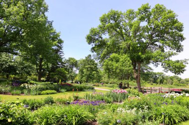 Yaz bahçesi manzarası, Quebec eyaleti, Kanada