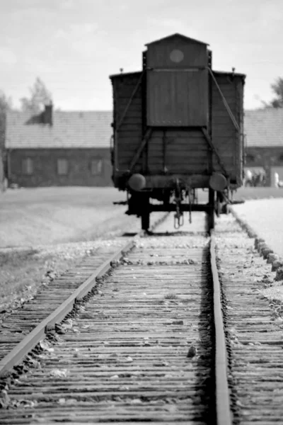 Auschwitz Birkenau Poland Blur Auschwitz Concentration Train Wagon Blur Auschwitz — 图库照片