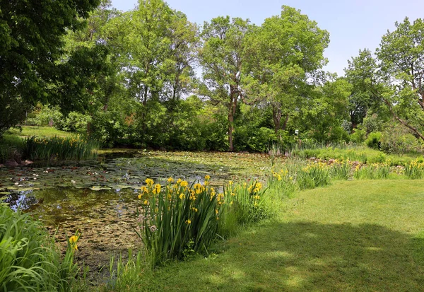 Summer Garden Landscape Province Quebec Canada — Foto de Stock