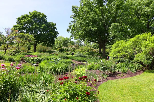 Summer Garden Landscape Province Quebec Canada — Stock Photo, Image