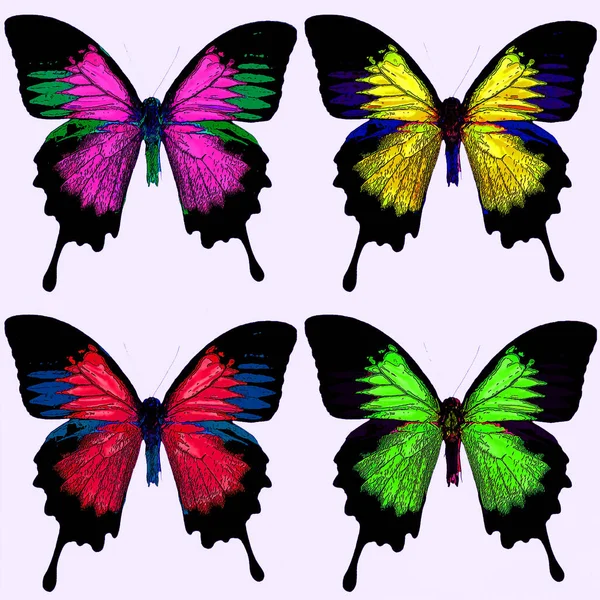 Bright Colorful Morpho Butterfly Sign Illustration Pop Art Background Icon — стоковое фото
