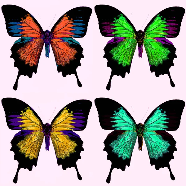 Bright Colorful Morpho Butterfly Sign Illustration Pop Art Background Icon — стоковое фото