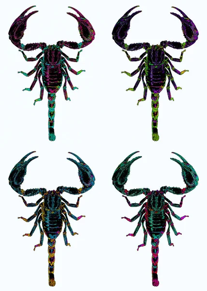 Scorpions Predatory Arachnids Order Scorpiones Have Eight Legs Easily Recognized —  Fotos de Stock