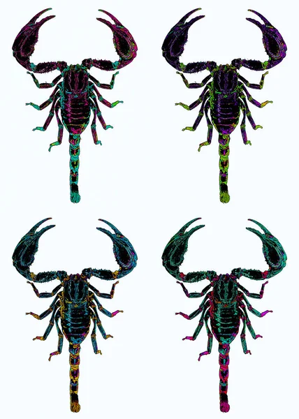 Scorpions Predatory Arachnids Order Scorpiones Have Eight Legs Easily Recognized — 图库照片