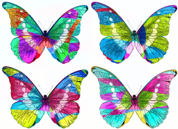 Heldere Kleurrijke Morpho Vlinder Teken Illustratie Pop Art Achtergrond Pictogram — Stockfoto
