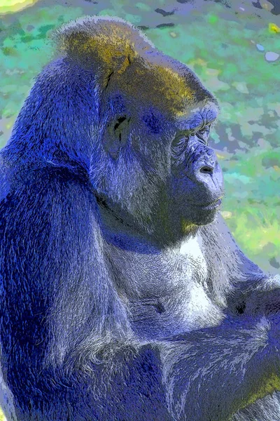 Gorilla Sign Illustration Pop Art Background Icon — Foto de Stock