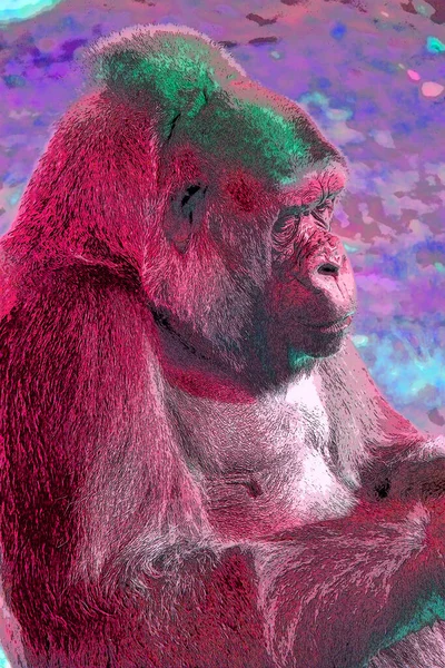 Gorilla Segno Illustrazione Pop Art Sfondo Icona — Foto Stock