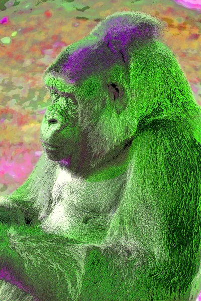 Gorilla Segno Illustrazione Pop Art Sfondo Icona — Foto Stock