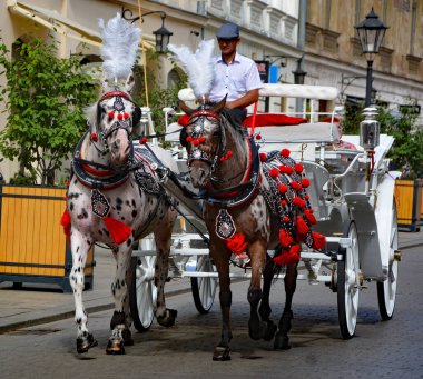 KRACOW POLAND - 09 10 17: Krakow 'u gezmenin en romantik yolu Rynek Glowny' nin kuzey ucunda sıralanan at arabaları..