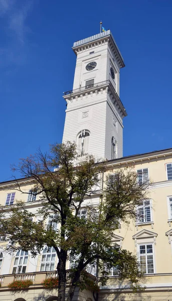 Lviv Ukraine Lviv City Hall 1830 1845 Tower 65M Height — Stockfoto