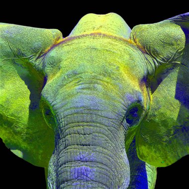 Renkli pop sanat fili simgesi.