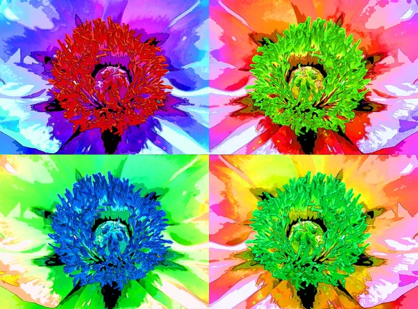 Peony Flowering Plant Flower Sign Illustration Background Icon Vivid Color — Photo