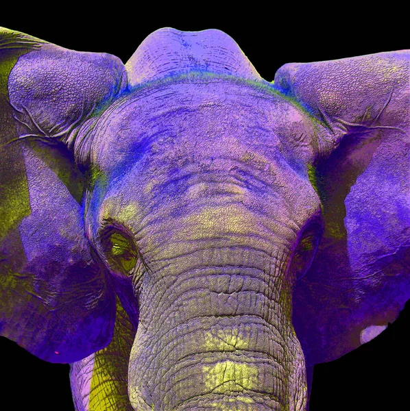 Ícone Elefante Arte Pop Com Manchas Cor — Fotografia de Stock