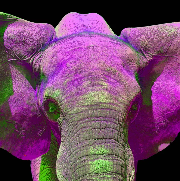 Ícone Elefante Arte Pop Com Manchas Cor — Fotografia de Stock