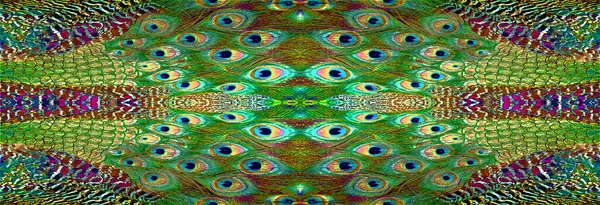 Peacock Feathers Sign Illustration Pop Art Background Icon Color Spots — ストック写真