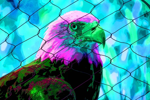 Αμερικανική Φαλακρός Αετός Σύμβολο Εικονογράφηση Ποπ Art Φόντο Εικονίδιο Έντονα — Φωτογραφία Αρχείου