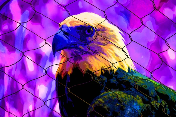 American Bald Eagle Sign Illustration Pop Art Background Icon Vivid — Stockfoto