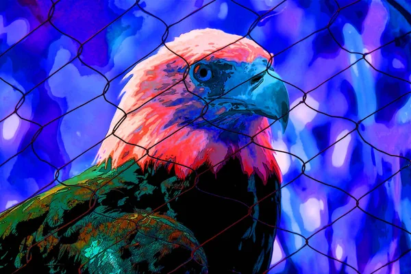 Signo Águila Calva Americana Ilustración Pop Art Icono Fondo Con — Foto de Stock