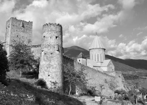 Ananuri Georgia 2019 Ananuri Castle Seat Eristavis Dukes Aragvi Feudal — Fotografia de Stock