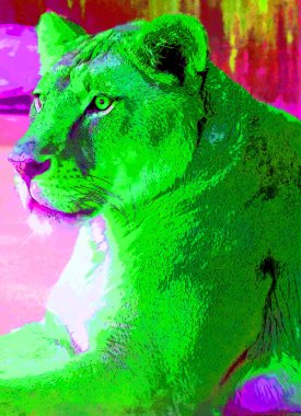 Lion sign illustration pop-art background icon with color