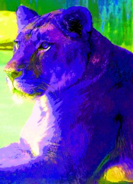 Lion sign illustration pop-art background icon with color
