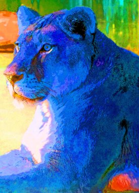 Lion sign illustration pop-art background icon with color