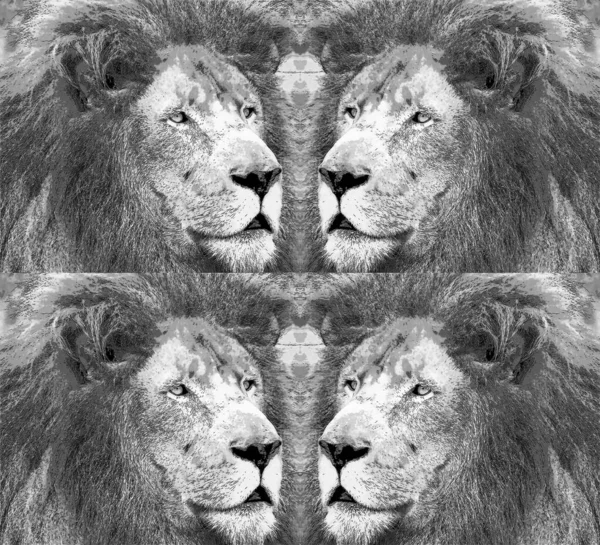 Lion Sign Illustration Pop Art Background Icon Color — Stok fotoğraf