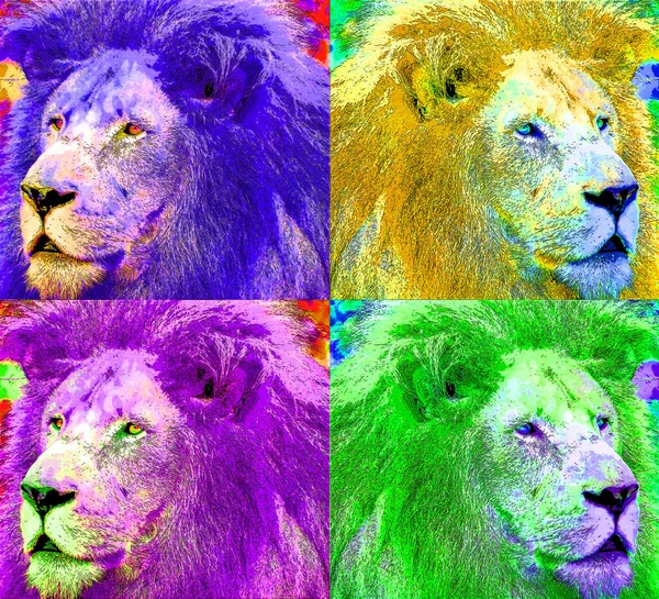 Lion Sign Illustration Pop Art Background Icon Color — Photo