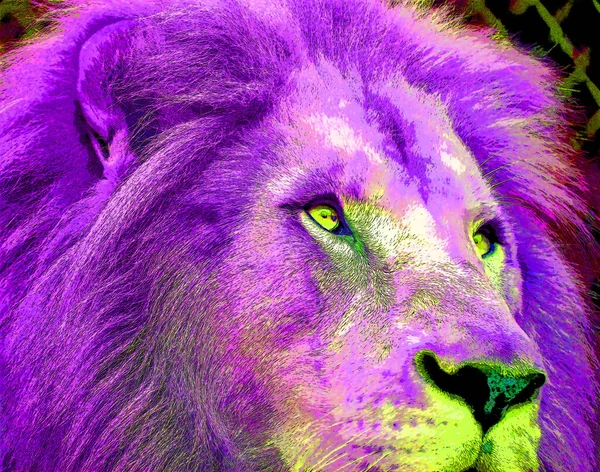 Lion Sign Illustration Pop Art Background Icon Color — стоковое фото
