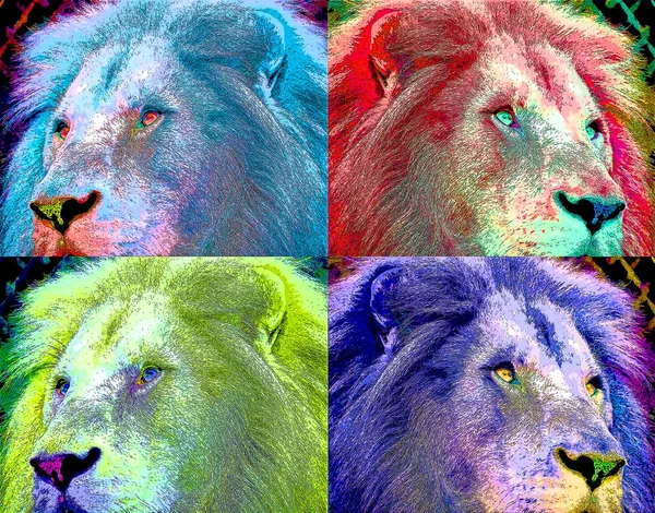 Lion Sign Illustration Pop Art Background Icon Color — Zdjęcie stockowe