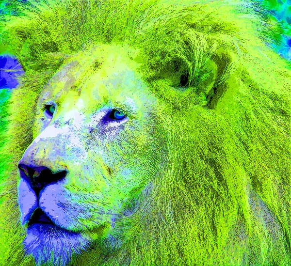 Lion Sign Illustration Pop Art Background Icon Color — ストック写真