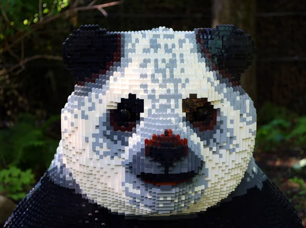 Granby Quebec Canada 2022 Giant Panda Bear Super Powers Animals — Stock Fotó