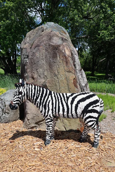 Granby Quebec Canada 2022 Zebra Super Powers Animals More Monumental — Stockfoto