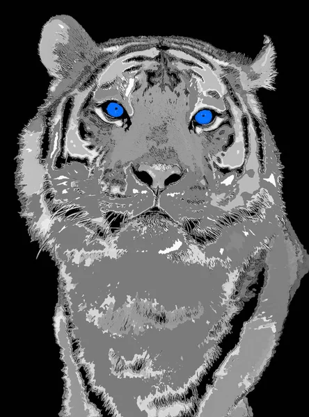 Tiger Zeichen Illustration Pop Art Hintergrund Symbol Mit Farbflecken — Stockfoto