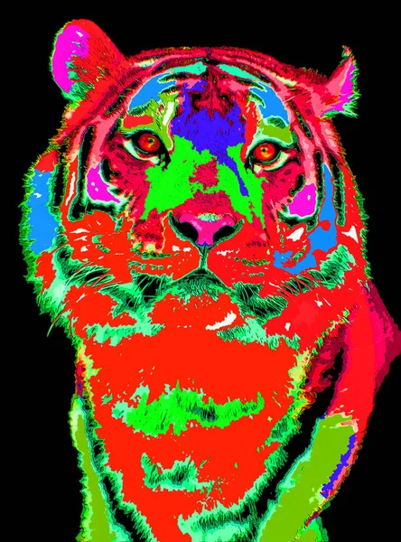 Tiger Signe Illustration Pop Art Icône Fond Avec Des Taches — Photo