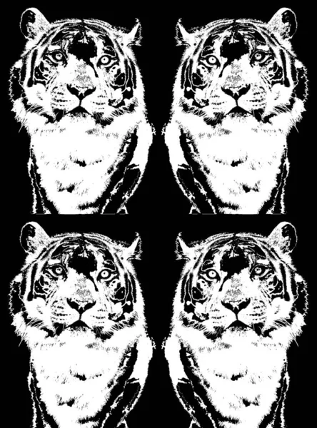 Tiger Segno Illustrazione Pop Art Icona Sfondo Con Macchie Colore — Foto Stock