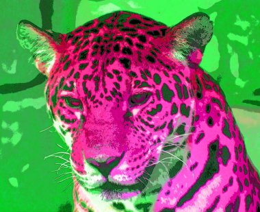 Renkli Pop Art Jaguar simgesi.