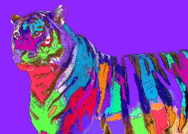 Tigris Jel Illusztráció Pop Art Háttér Ikon Színes Foltok — Stock Fotó