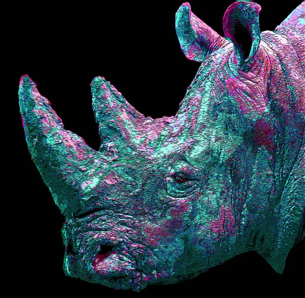 Rinoceronte Sinal Ilustração Pop Art Ícone Fundo Com Manchas Cor — Fotografia de Stock