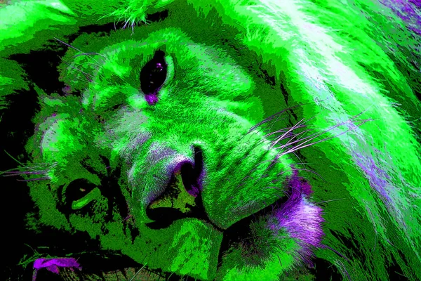Lion Sign Illustration Pop Art Background Icon Color — Stock Photo, Image