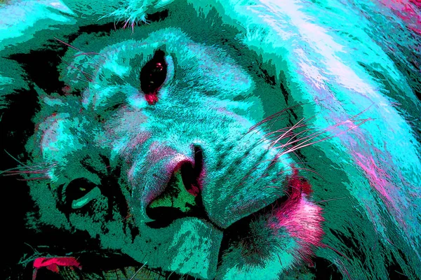 Lion Sign Illustration Pop Art Background Icon Color — ストック写真